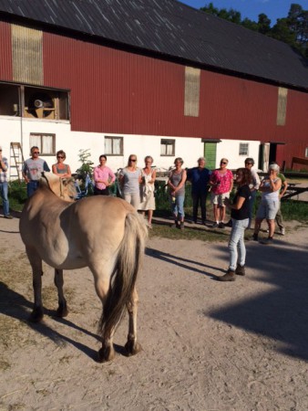 GFF samlas för att få lära sig mer om massage och stretchning för att våra hästar ska må ännu bättre